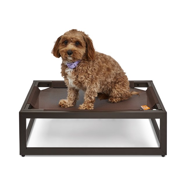The FUZI Premium Elevated Dog Bed Strong Metal Platform Base, Modern