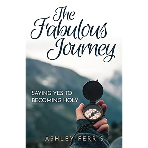 Pre-Owned The Fabulous Journey (Paperback) by Ashley Ferris
