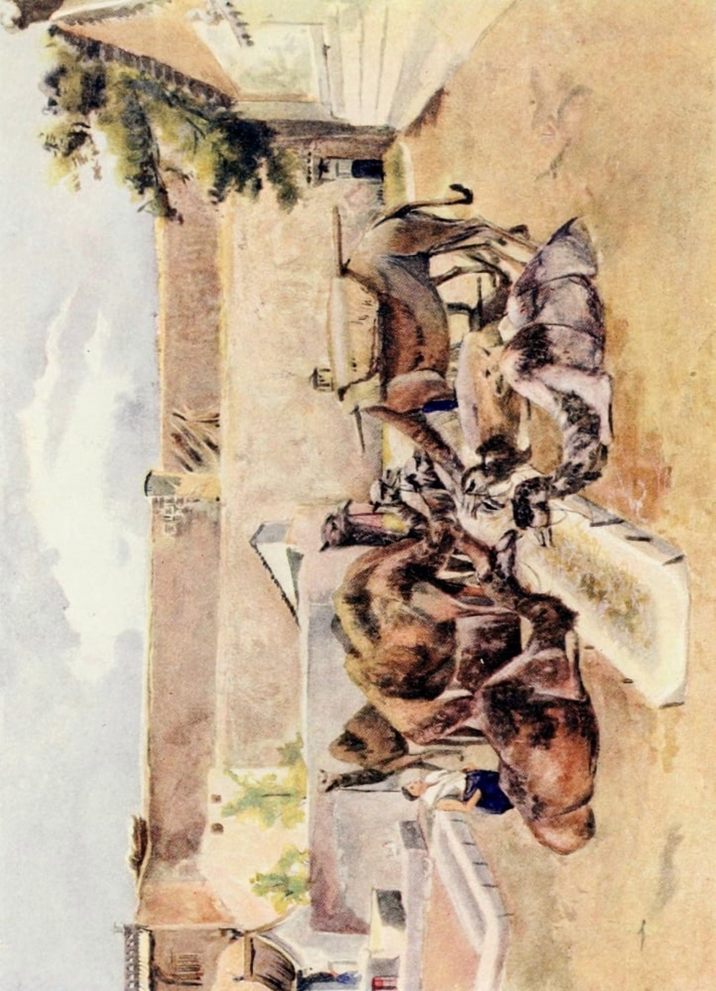 The Face of China 1909 Camel Inn Canvas Art - Emily G Kemp (24 x 36)