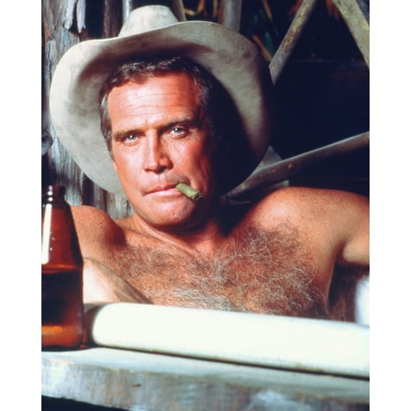 The Fall Guy Lee Majors 24x36 Classic Hollywood Poster