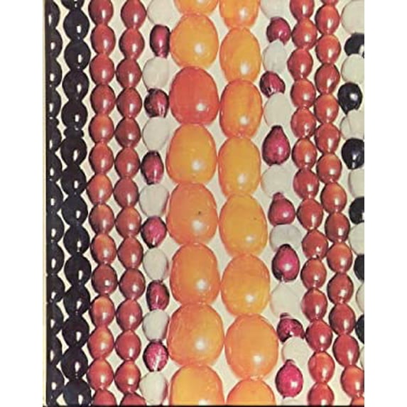 Pre-Owned The Family Creative Workshop (Volume 2 of 24 Volume Set) (Beachcombing to Bottle Gardens) (Hardcover) 0884590011 9780884590019