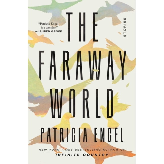 The Faraway World : Stories (Hardcover)