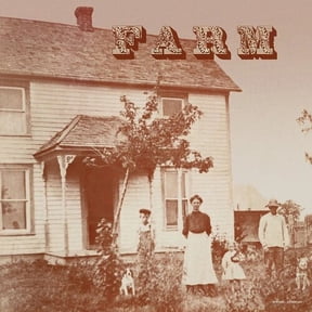 The Farm - Farm - Music & Performance - CD