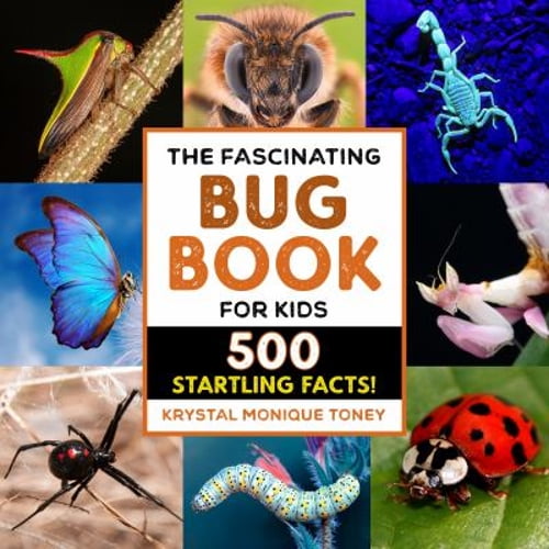 Pre-Owned The Fascinating Bug Book for Kids: 500 Startling Facts! (Paperback) 163878065X 9781638780656