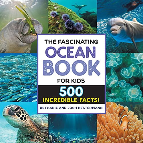 Pre-Owned The Fascinating Ocean Book for Kids: 500 Incredible Facts! (Fascinating Facts), 9781648768842, 1648768849, Paperback,