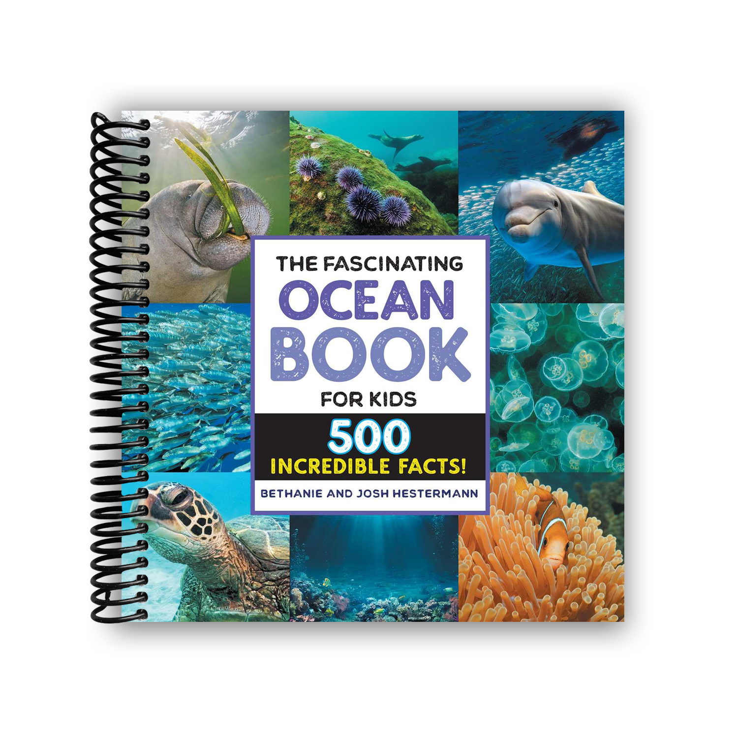 Bethanie Hestermann: The Fascinating Ocean Book for Kids: 500
