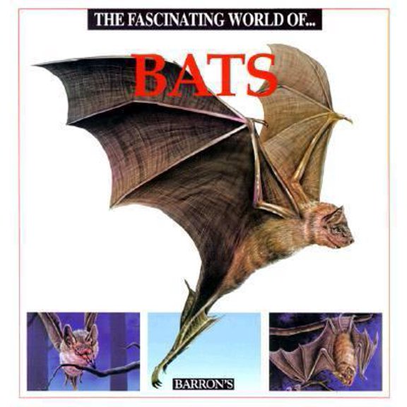 Pre-Owned The Fascinating World of Bats (Paperback) 0812019539 9780812019537