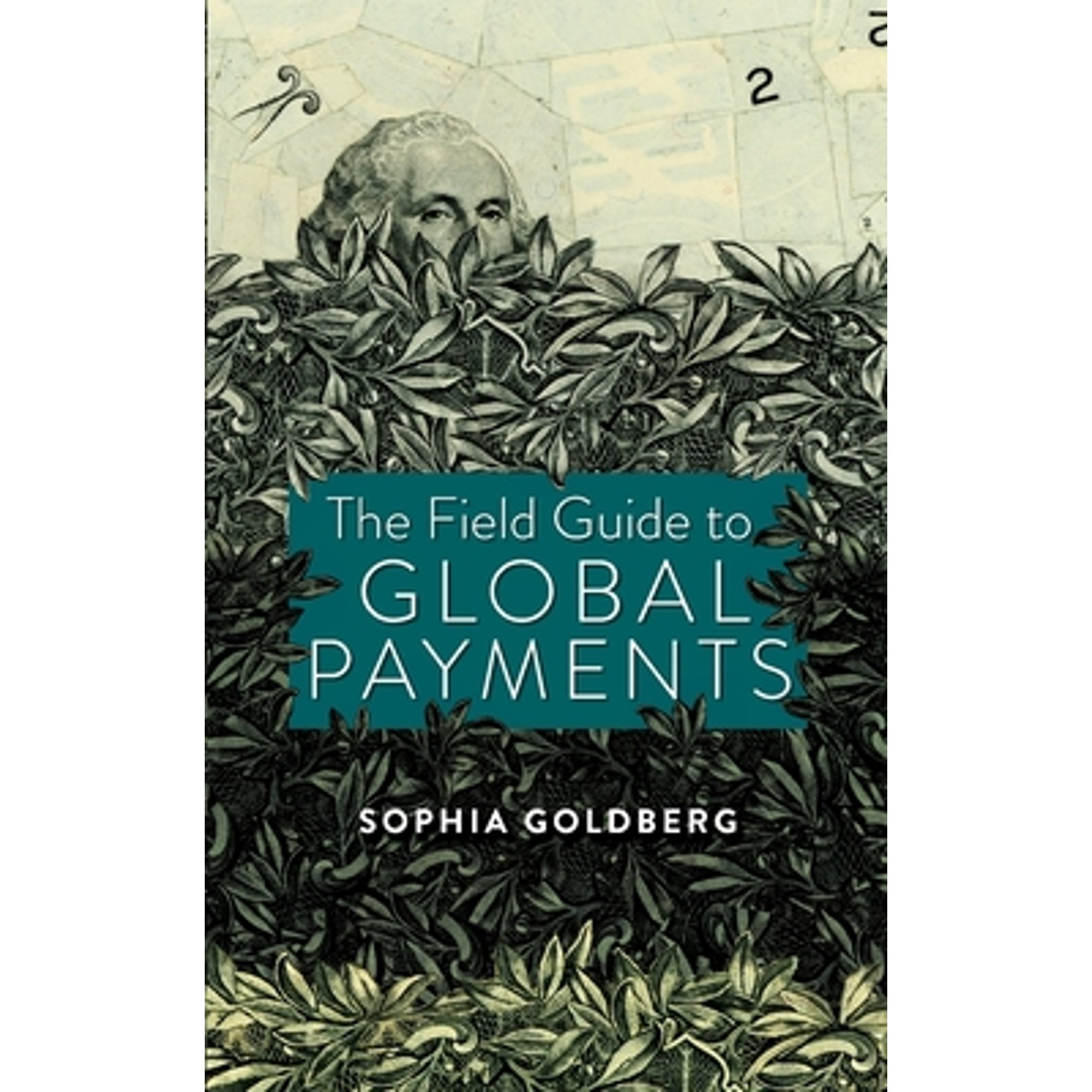 Pre-Owned The Field Guide to Global Payments (Paperback) 0578295261 9780578295268