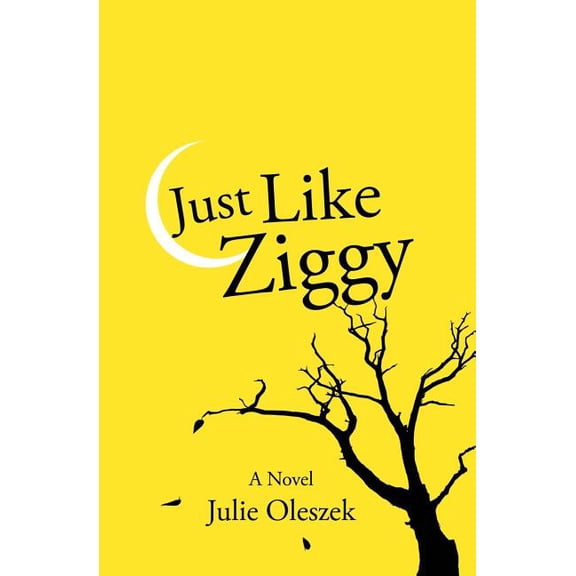 The Fifth Floor Trilogy: Just Like Ziggy (Paperback)