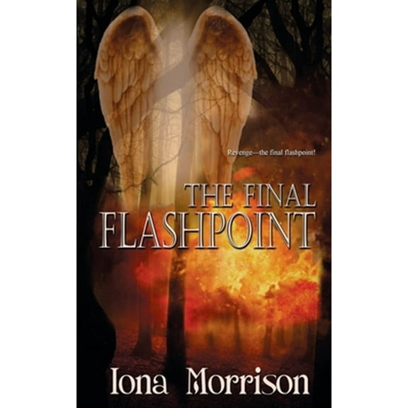 The Final Flashpoint (Paperback) by Iona Morrison