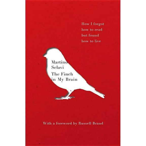 The Finch in My Brain (Paperback)