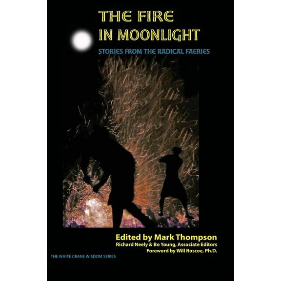 The Fire in Moonlight: Stories from the Radical Faeries 1971 - 2010