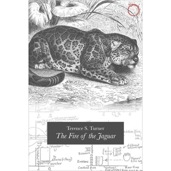 The Fire of the Jaguar (Paperback)