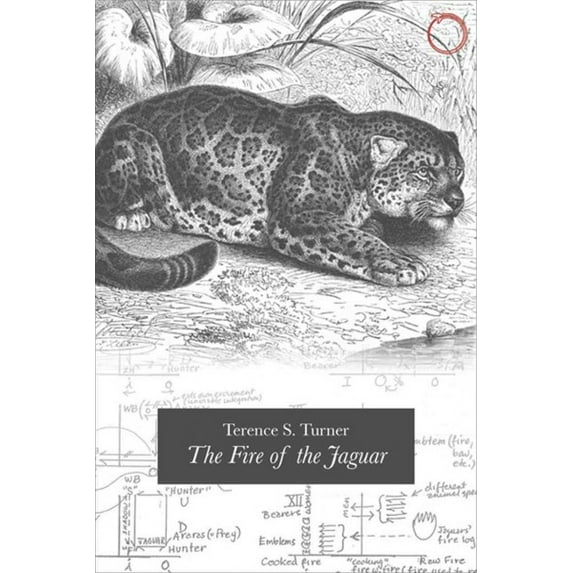 The Fire of the Jaguar (Paperback)