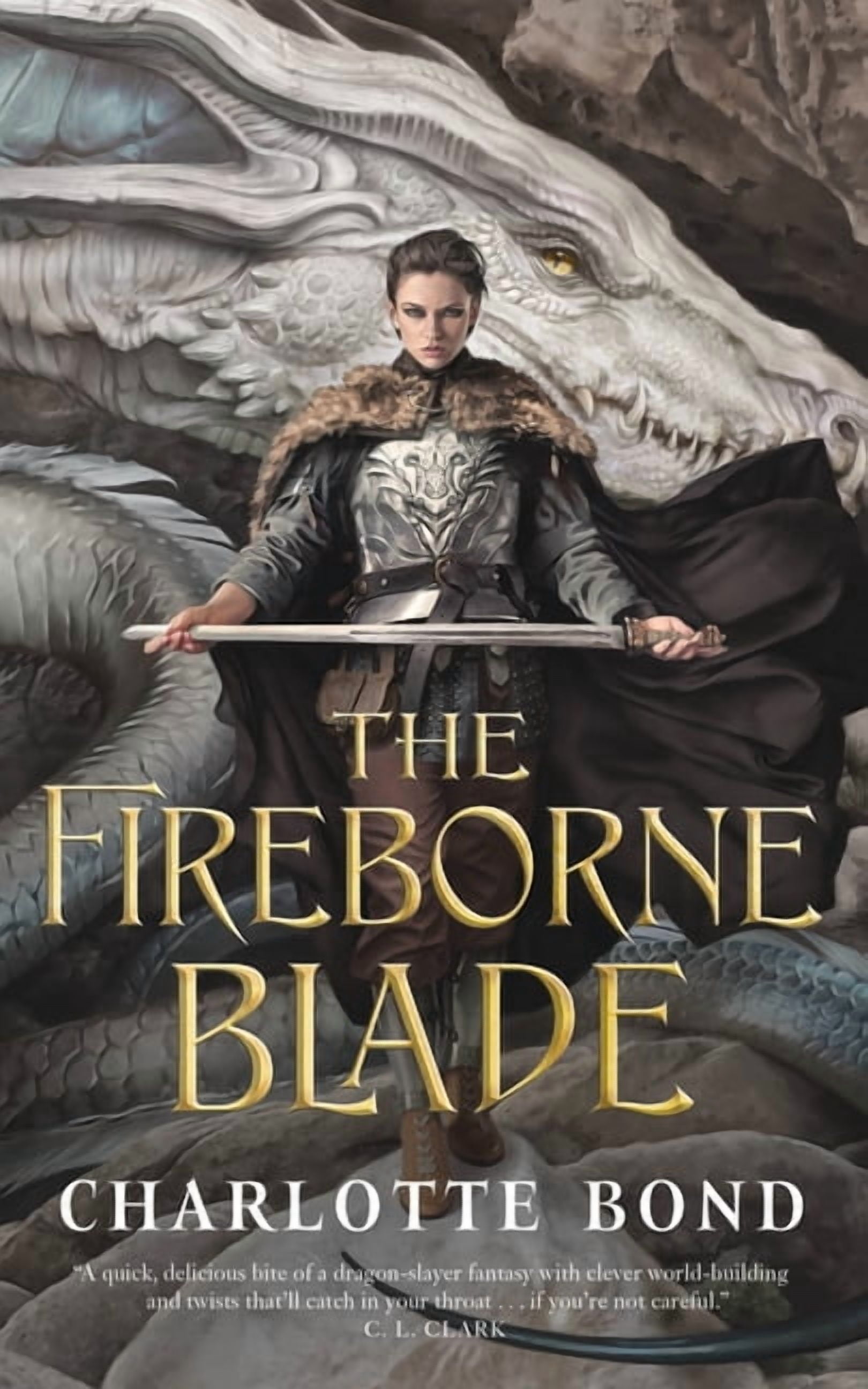 Fireborne Fireborne Blade The Fireborne Blade, Book 1, (Hardcover) - Walmart.com