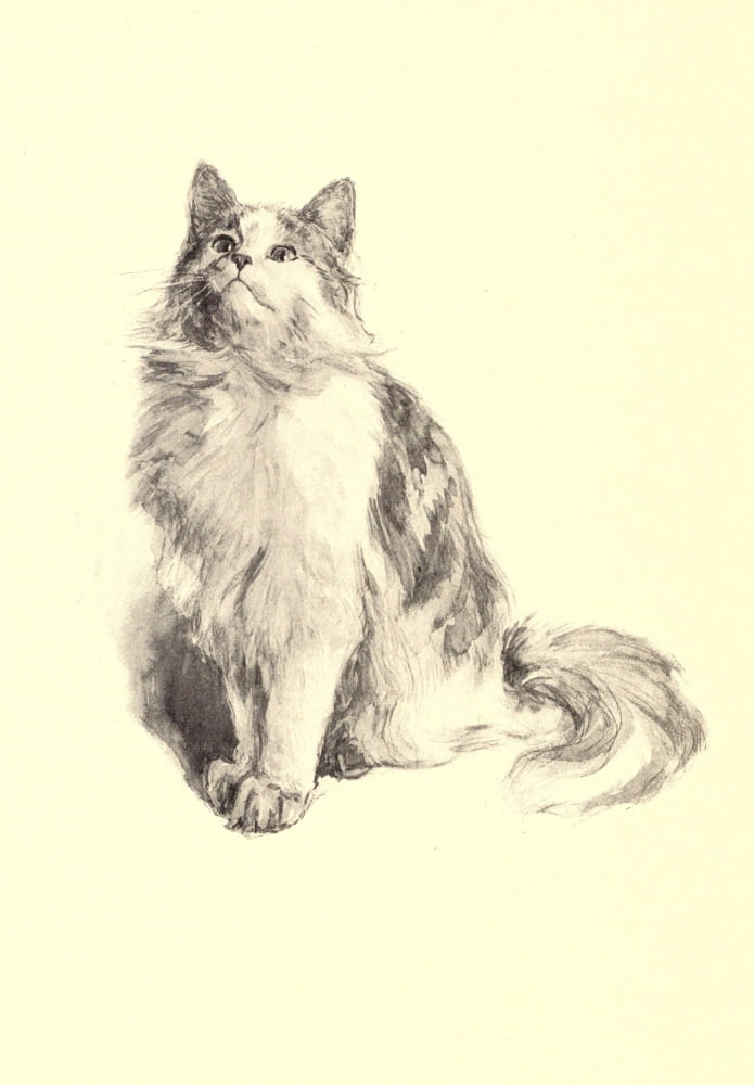 The Fireside Sphinx 1901 Cat Canvas Art - Elizabeth Bonsall (18 x 24)