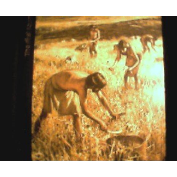 Pre-Owned The First Farmers (Hardcover) 9780809413041