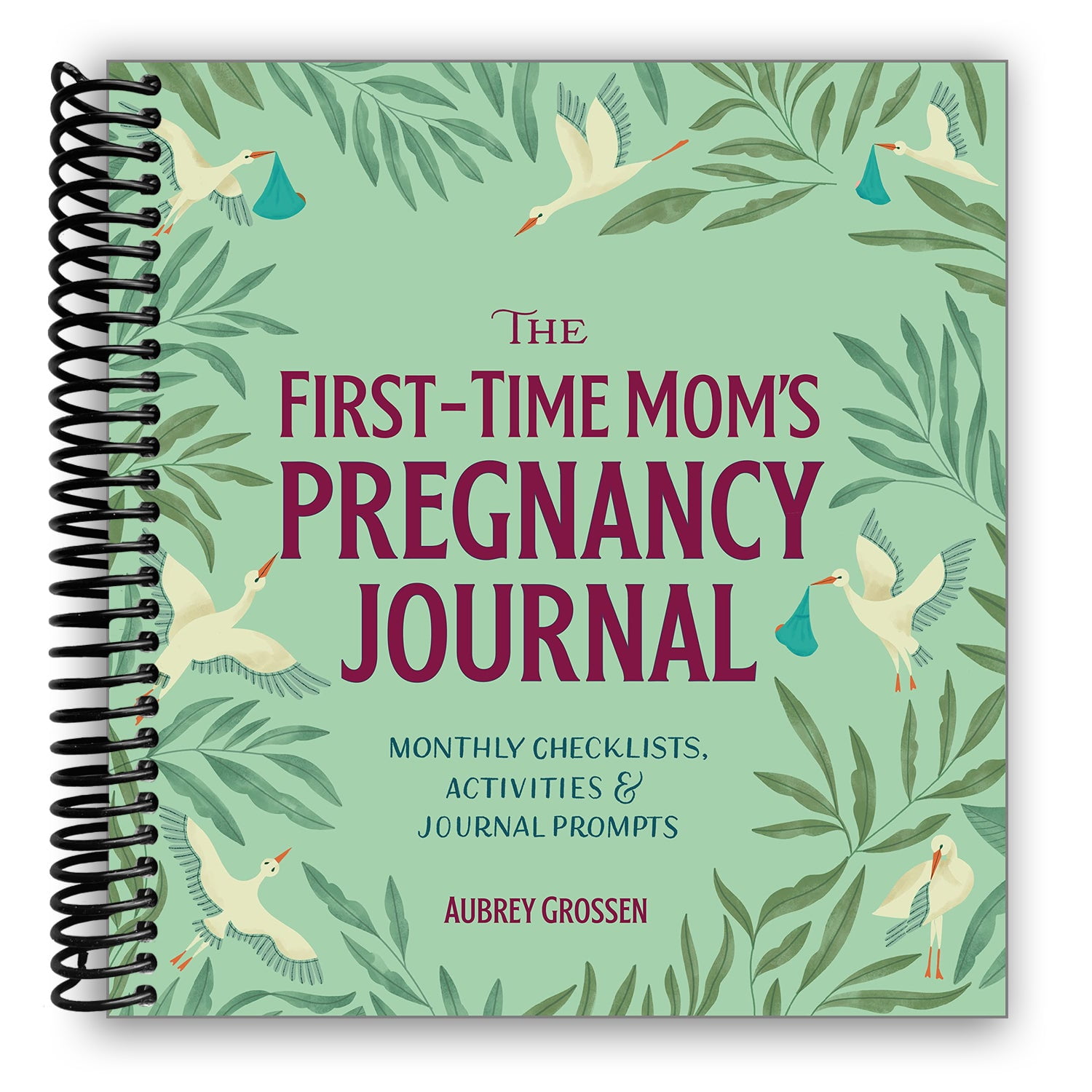 The First-Time Mom&rsquo;s Pregnancy Journal : Monthly Checklists 
