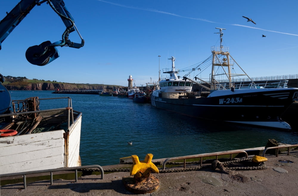 The Fishing Harbour Dunmore East Fishing Port County Waterford Ireland Canvas Art - Panoramic Images (27 x 9)