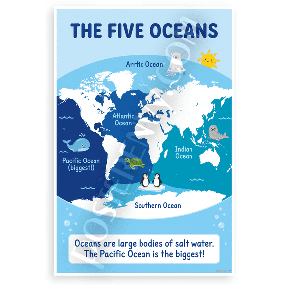 The Five Oceans World Map Educational 12x18 US Made Poster