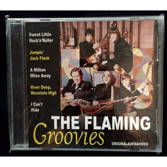 The Flaming Groovies (Audiobook)