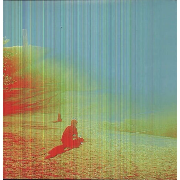 The Flaming Lips - The Terror - Music & Performance - Vinyl