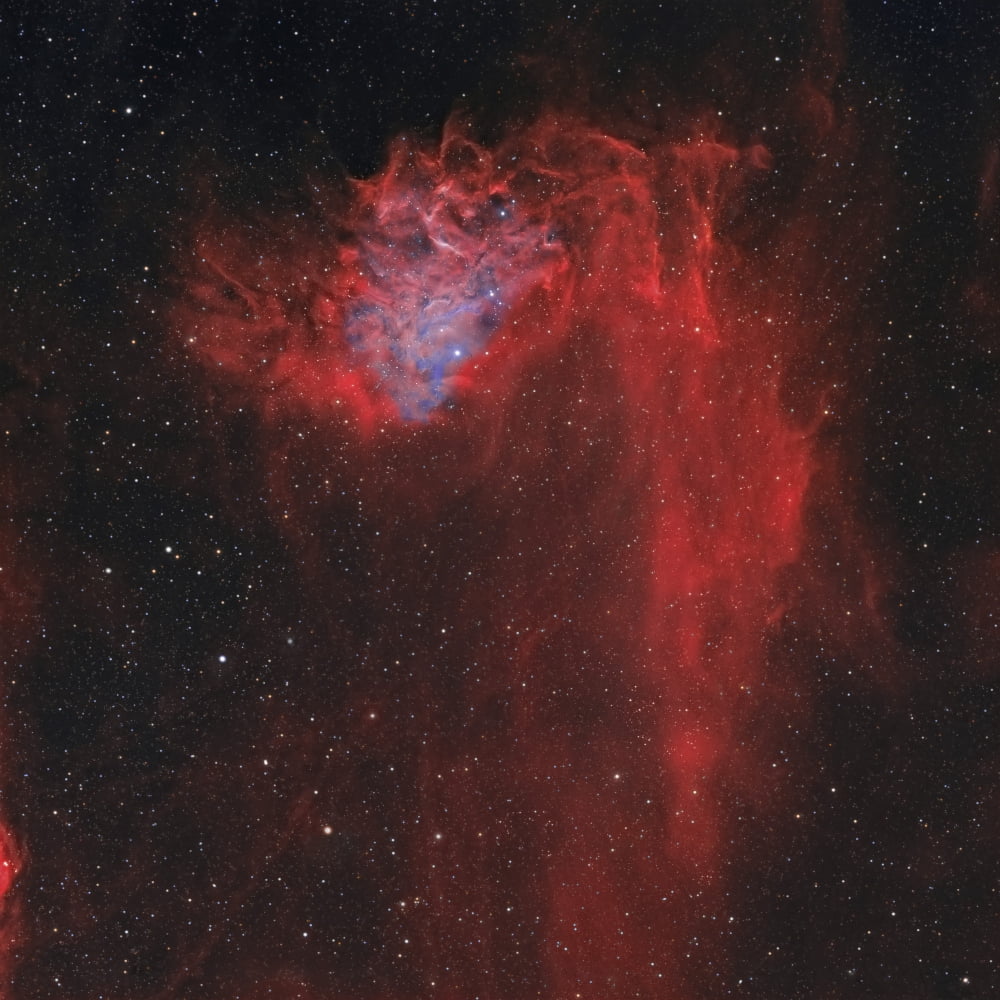 The Flaming Star Nebula Canvas Art - Rolf GeissingerStocktrek Images (28 x 28)