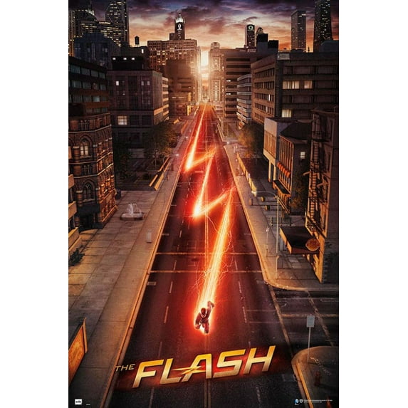 The Flash Laminated Poster (24 x 36)