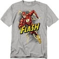 thumbnail image 1 of The Flash T-Shirt Bolt Run Unisex Graphic Tee For Men & Women, 1 of 7