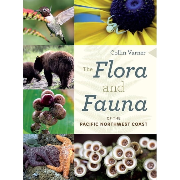The Flora and Fauna of the Pacific Northwest Coast, (Paperback)