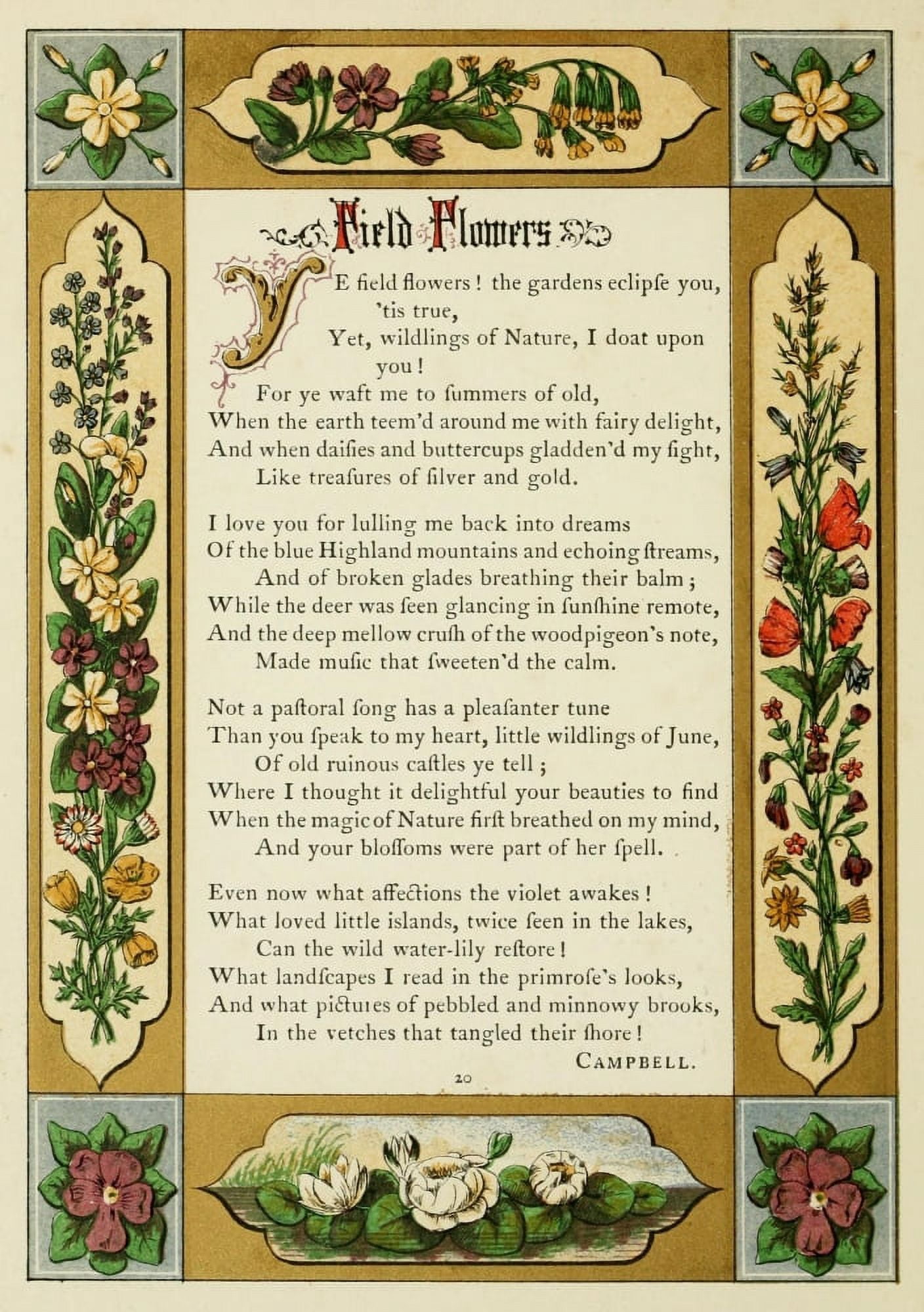 The Floral Gift 1863 Field Flowers Canvas Art - Samuel Stanesby (24 x 36)