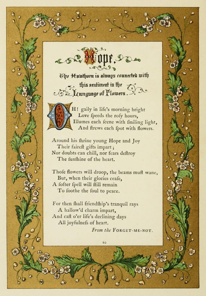 The Floral Gift 1863 Forget-me-not Canvas Art - Samuel Stanesby (24 x 36)