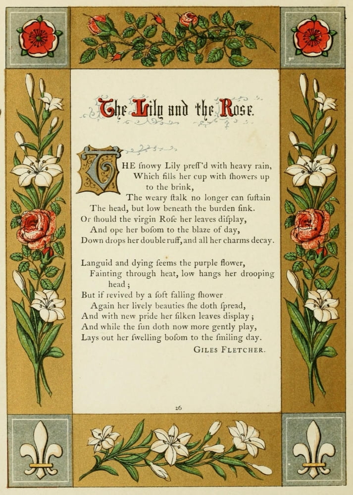 The Floral Gift 1863 Lily & Rose Canvas Art - Samuel Stanesby (18 x 24)
