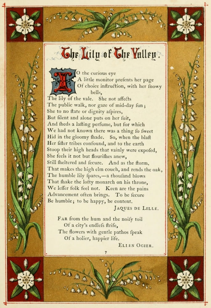 The Floral Gift 1863 Lily of the Valley Canvas Art - Samuel Stanesby (24 x 36)