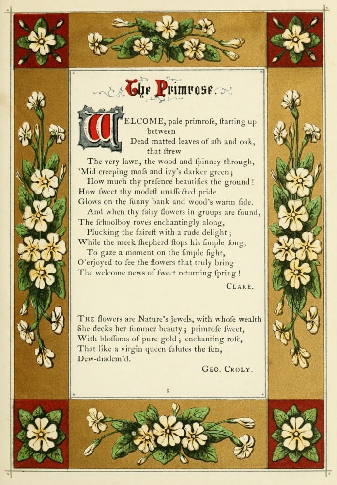 The Floral Gift 1863 Primrose Canvas Art - Samuel Stanesby (18 x 24)