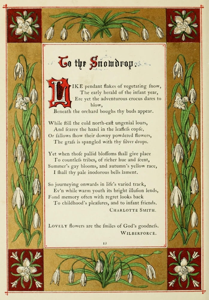 The Floral Gift 1863 Snowdrop Canvas Art - Samuel Stanesby (18 x 24)
