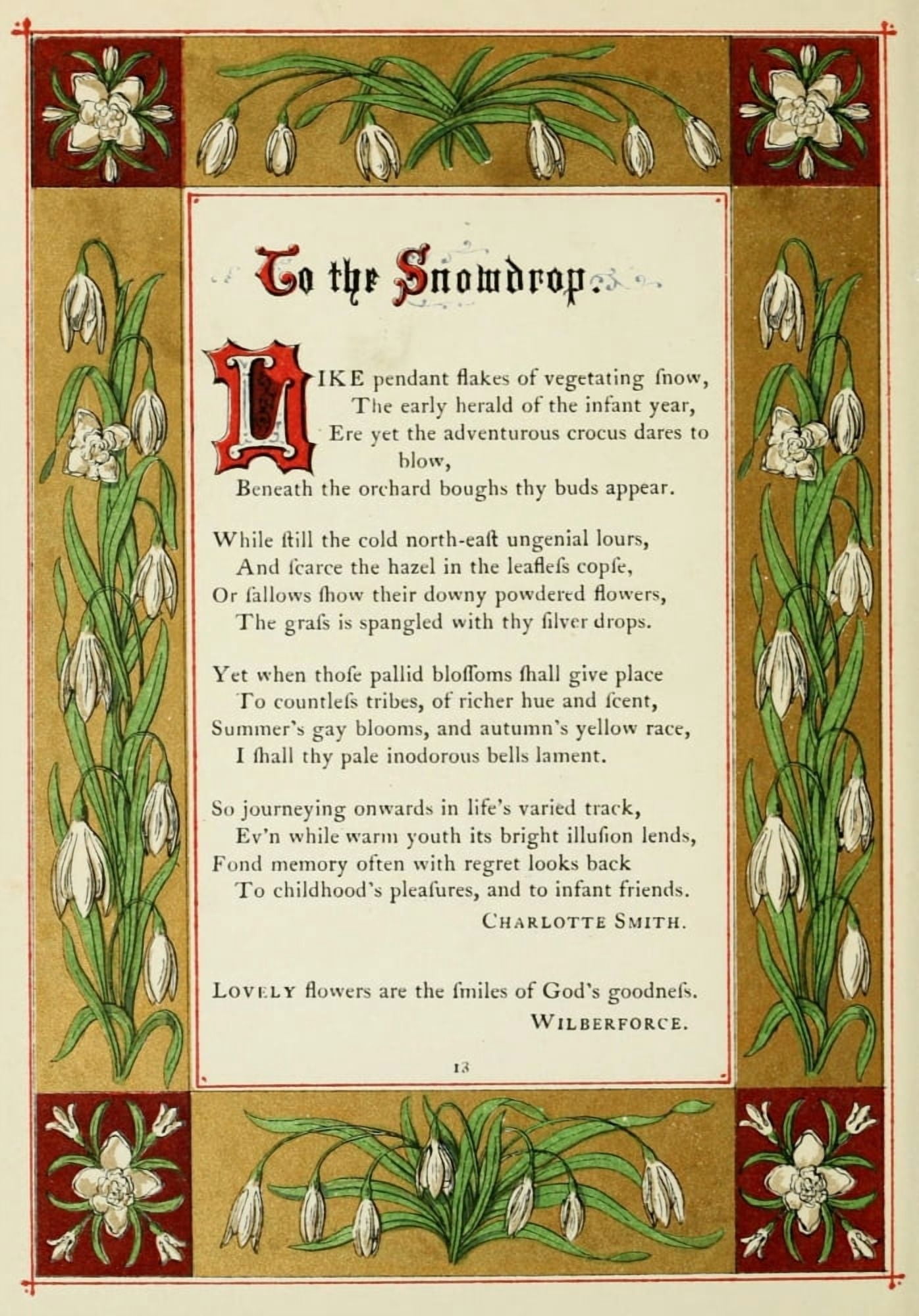 The Floral Gift 1863 Snowdrop Canvas Art - Samuel Stanesby (24 x 36)