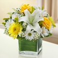 thumbnail image 1 of The Flower Shop Atlanta Healing Hope Bouquet Yellow & White, 1 of 4