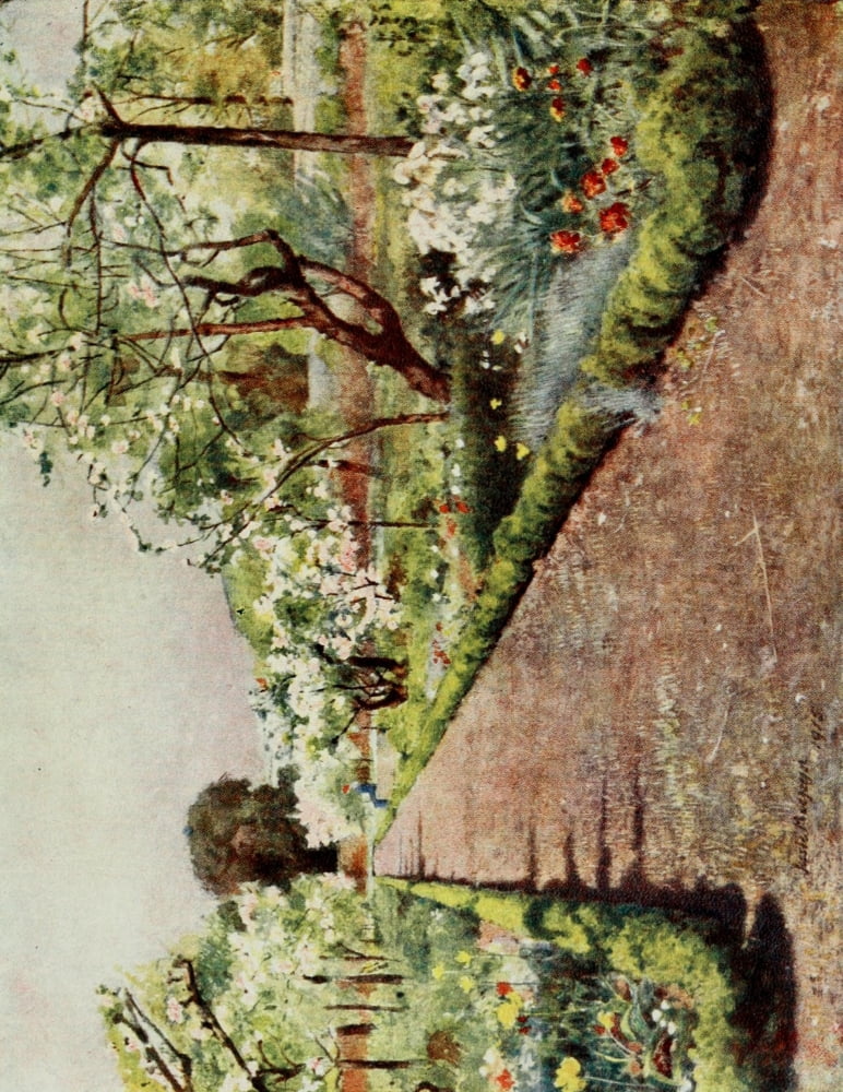 The Flower Walk Canvas Art - Jessie MacGregor (18 x 24)