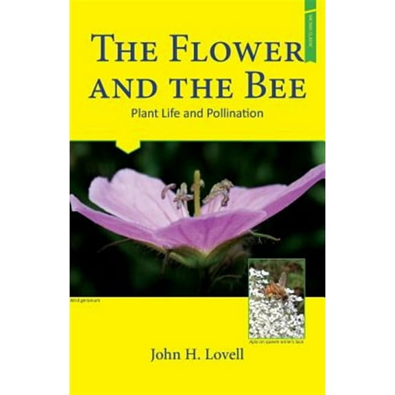 The Flower and The Bee (Paperback)