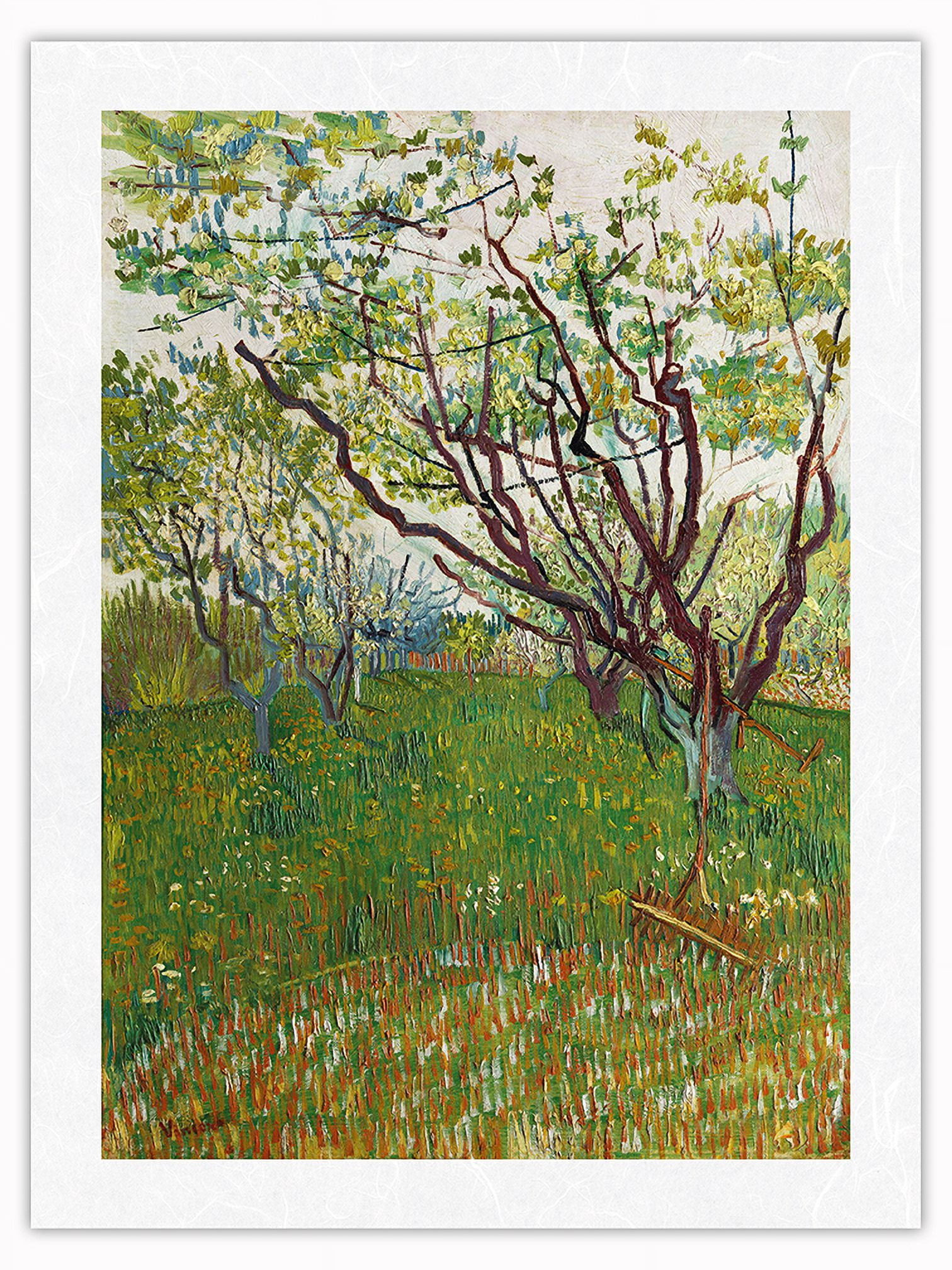 The Flowering Orchard - Arles France - From an Original Color Painting ...