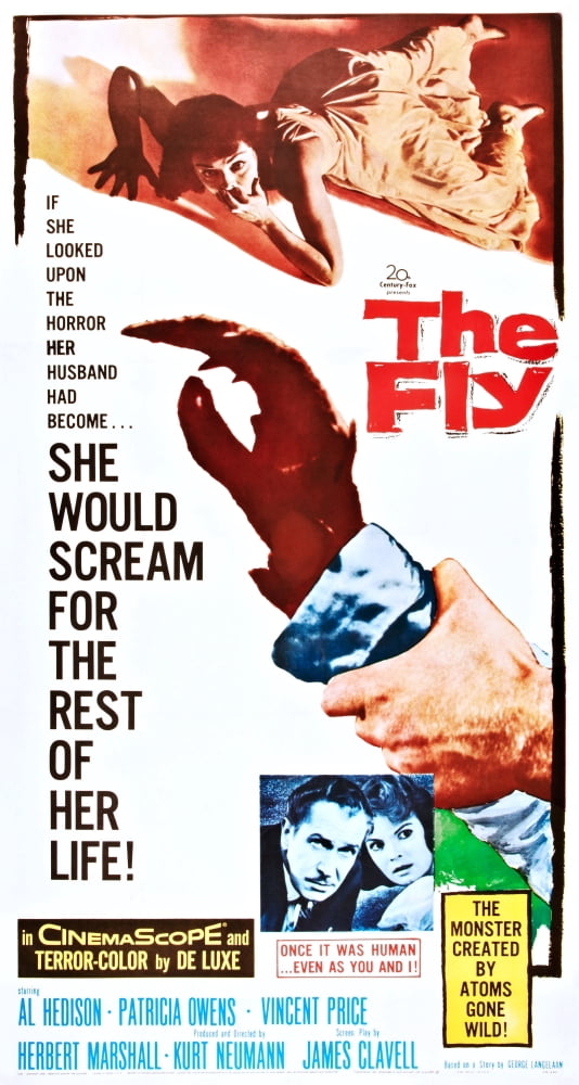 The Fly Canvas Art - (11 x 17)