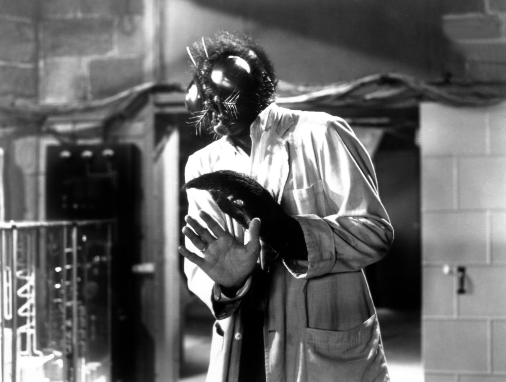The Fly Canvas Art -  (28 x 22)