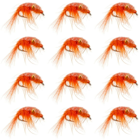 The Fly Fishing Place Orange Beaded Shrimp Scud - 1 Dozen - Size 12 - Tailwater Lake Fly Fishing Nymph Flies