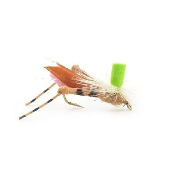 The Fly Fishing Place Trout Fly Assortment - Chernobyl Ant and Foam Body Grasshopper Dry Fly Collection 1 Dozen Flies