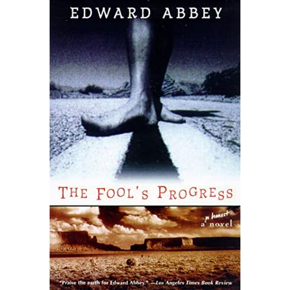 Pre-Owned The Fool's Progress: An Honest Novel (Paperback) 0805057919 9780805057911