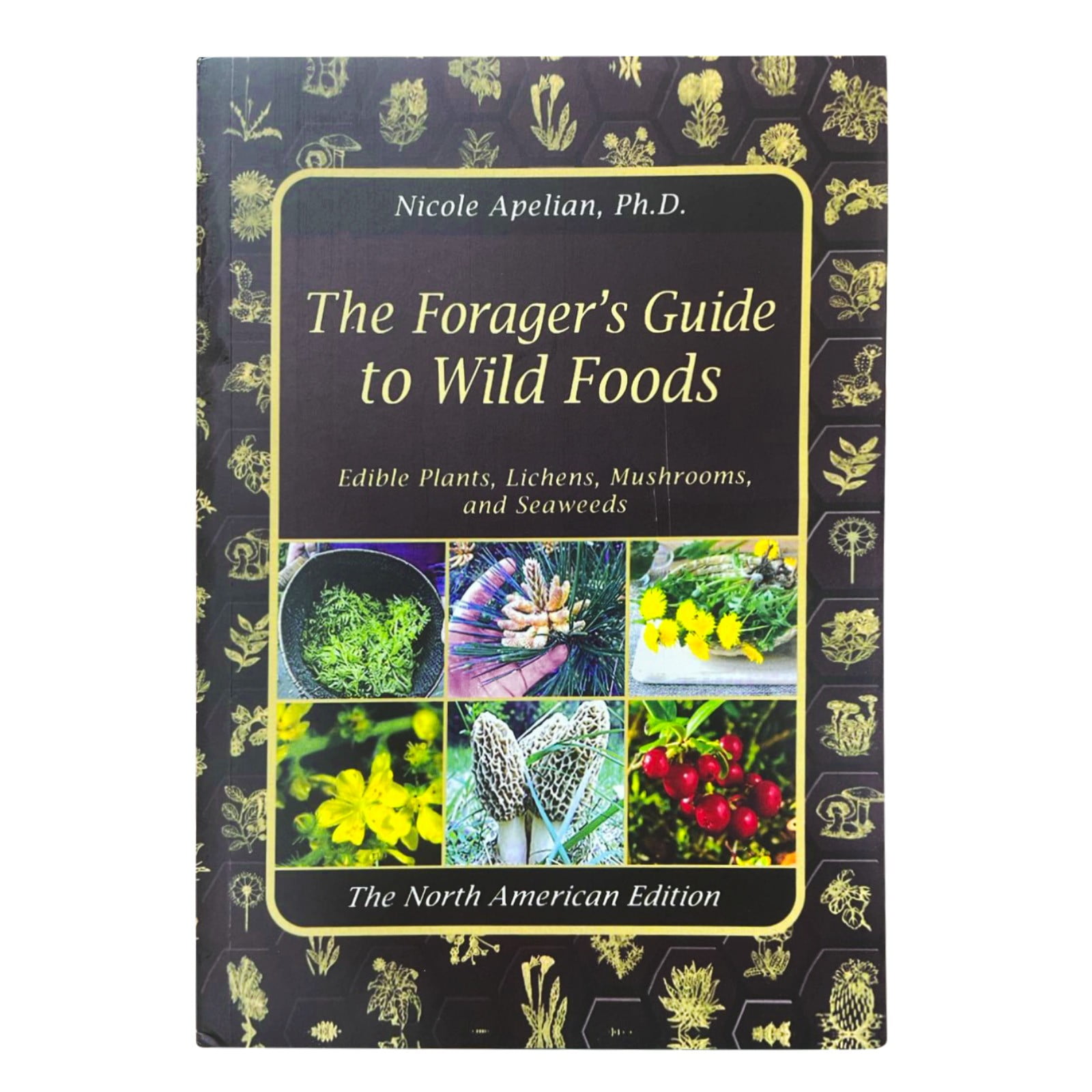 The Forager's Guide to Wild Foods: Edible Plants, Lichens, Mushrooms
