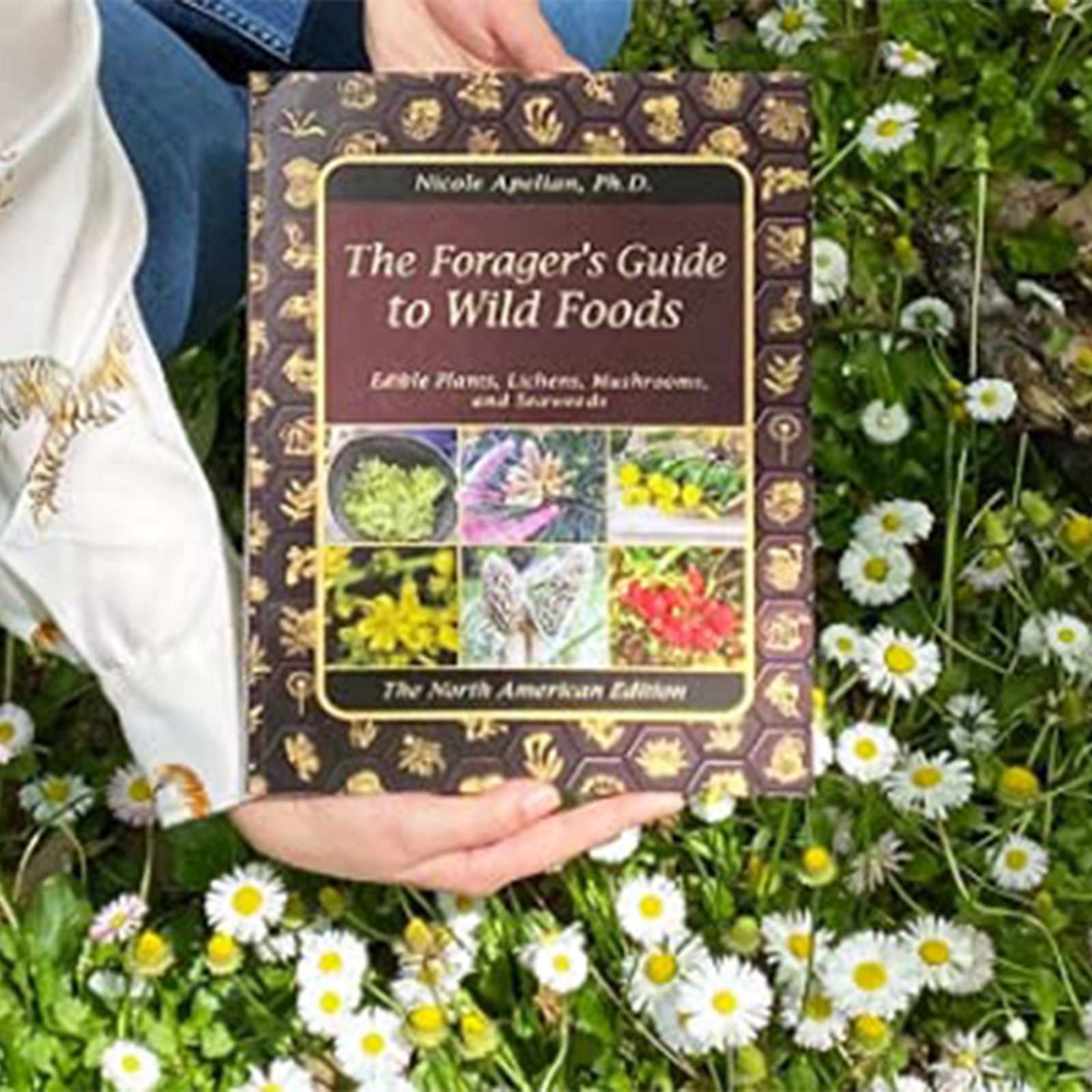 The Forager's Guide to Wild Foods Nicole Apelian's Foraging Wisdom