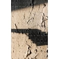 thumbnail image 1 of The Foreshadowing (Paperback), 1 of 1
