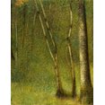 thumbnail image 1 of The Forest At Pontaubert Fine Art (24 x 36), 1 of 2